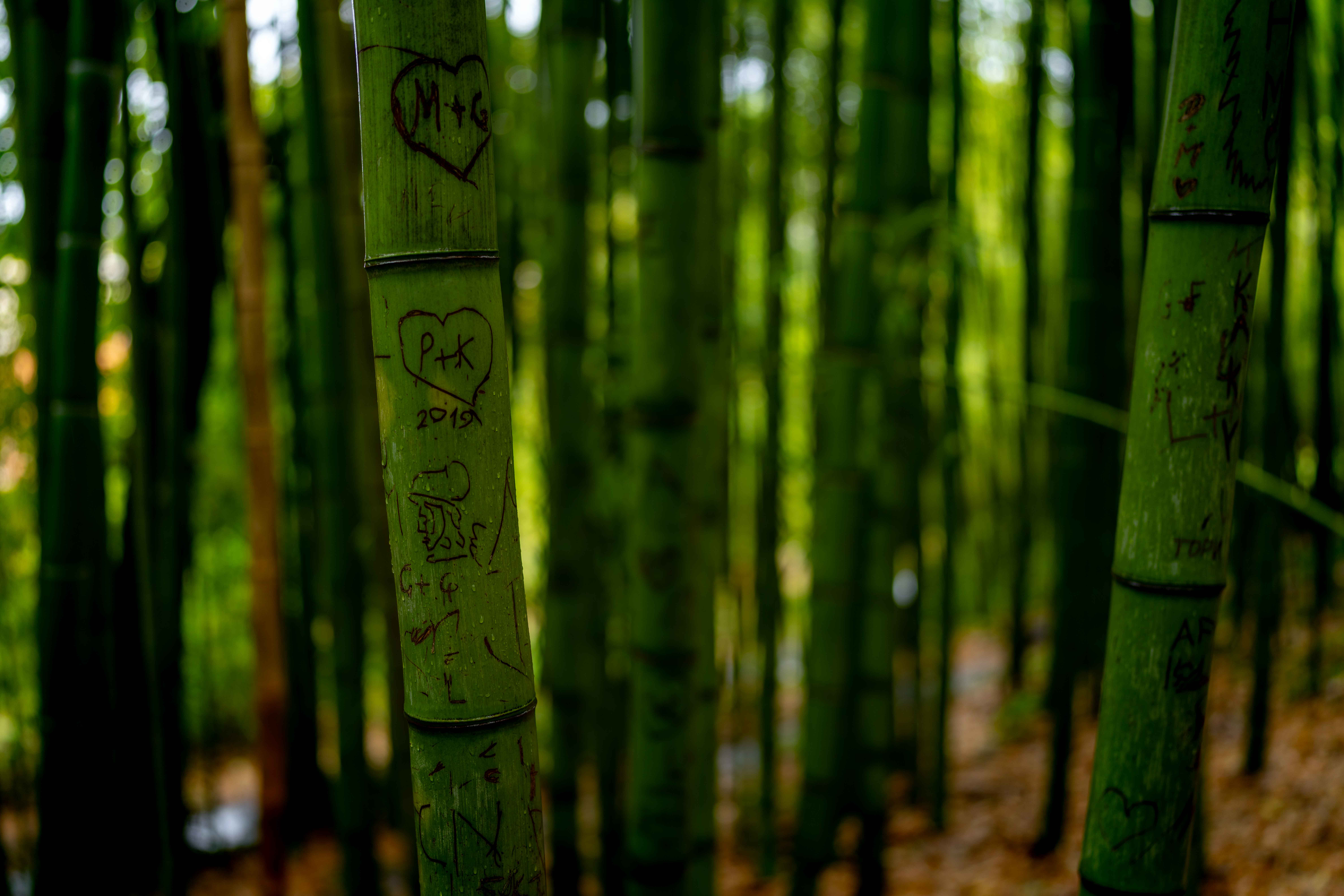 Photos from travel in Rome, Florence, Venice, Fall 2025.